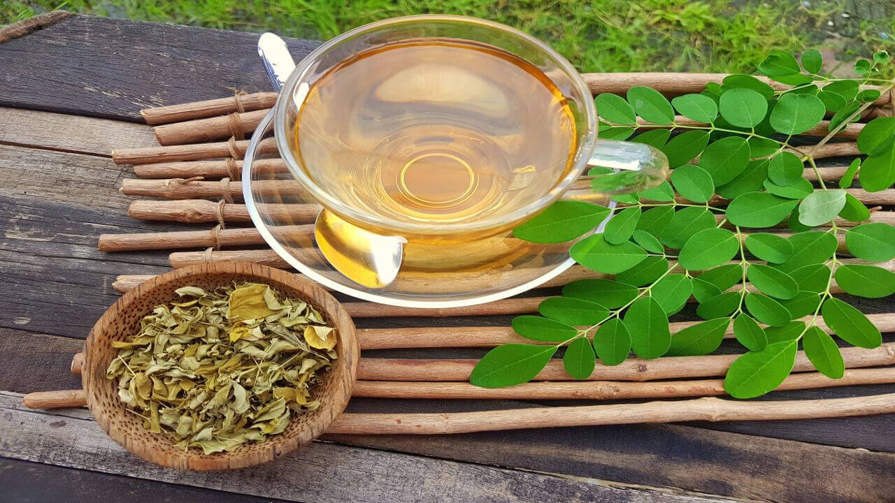 Jaké jsou benefity čaje Moringa?